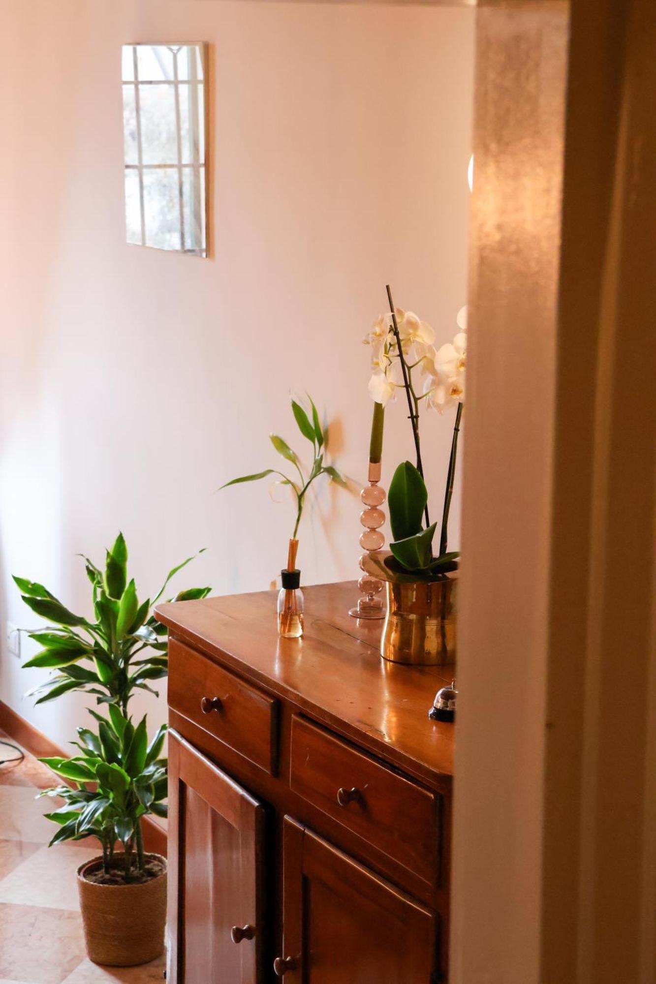 Aurelia Maison Verona Eksteriør billede